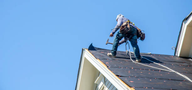 Best Metal Roofing Contractor  in Shenandoah, TX